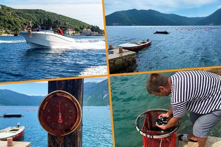 Guests dining on organic seafood with panoramic bay views in Montenegro Guests dining on organic seafood with panoramic bay views in Montenegro